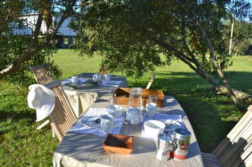 Lodge Hjem Punta Rubia