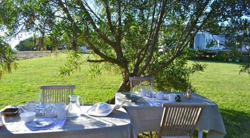 Lodge Hjem Punta Rubia