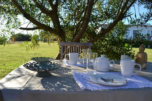 Lodge Hjem Punta Rubia