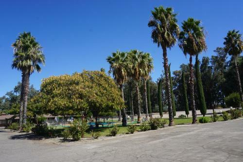 Blue Gum Motel
