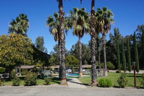 Blue Gum Motel