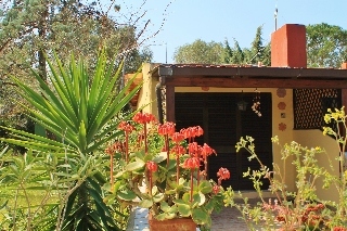 Residence Blue Corner Porto Pollo