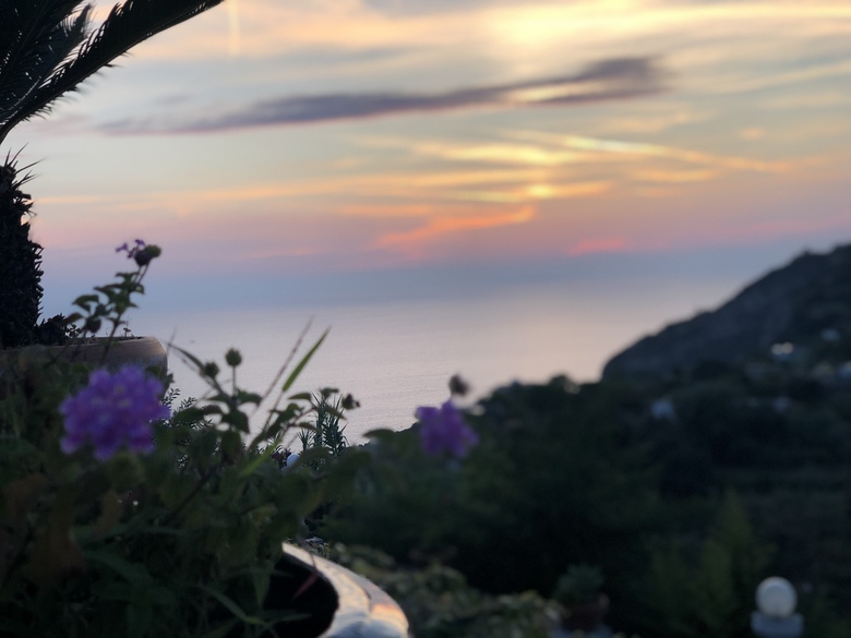 Bed & Breakfast Villa Neptunus