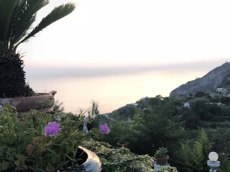 Bed & Breakfast Villa Neptunus