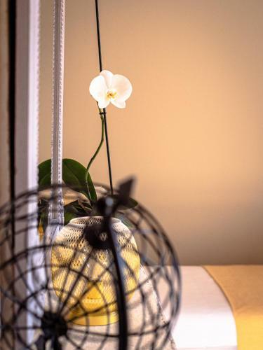 Bed & Breakfast Clos Saint Martin