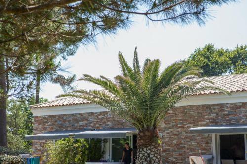 Apartamento A Suara Di Mare