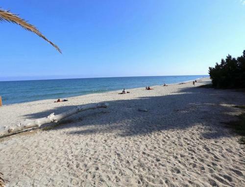 Apartamento A Suara Di Mare