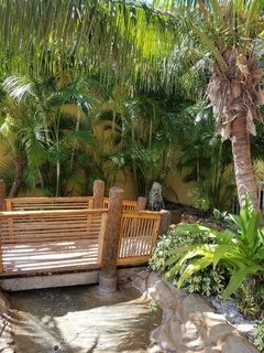 Hotel Coconut Cove Suites