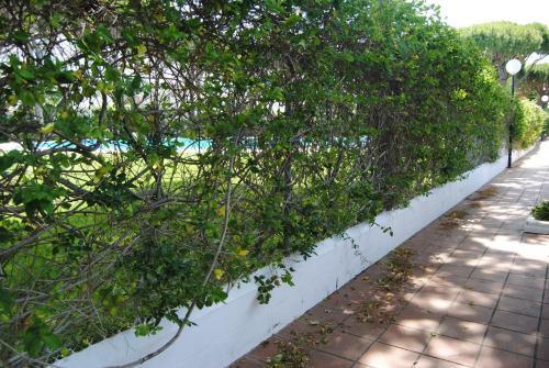 Apartamentos Costa Chiclana