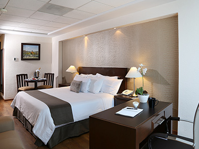 Hotel Meson Ejecutivo