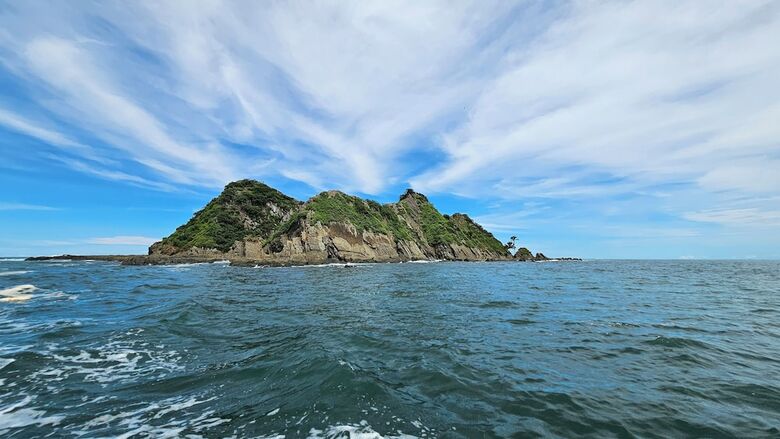 Hotel Whales  And  Dolphins