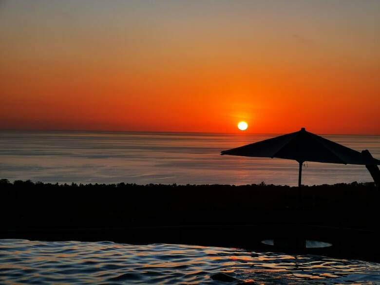 Hotel Whales  And  Dolphins