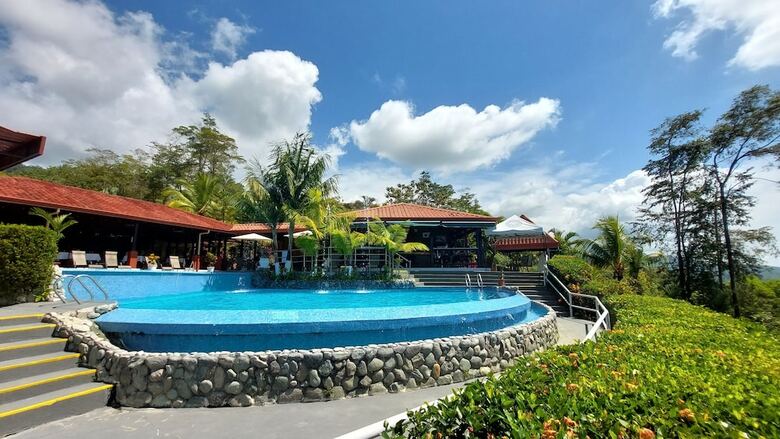 Hotel Whales  And  Dolphins