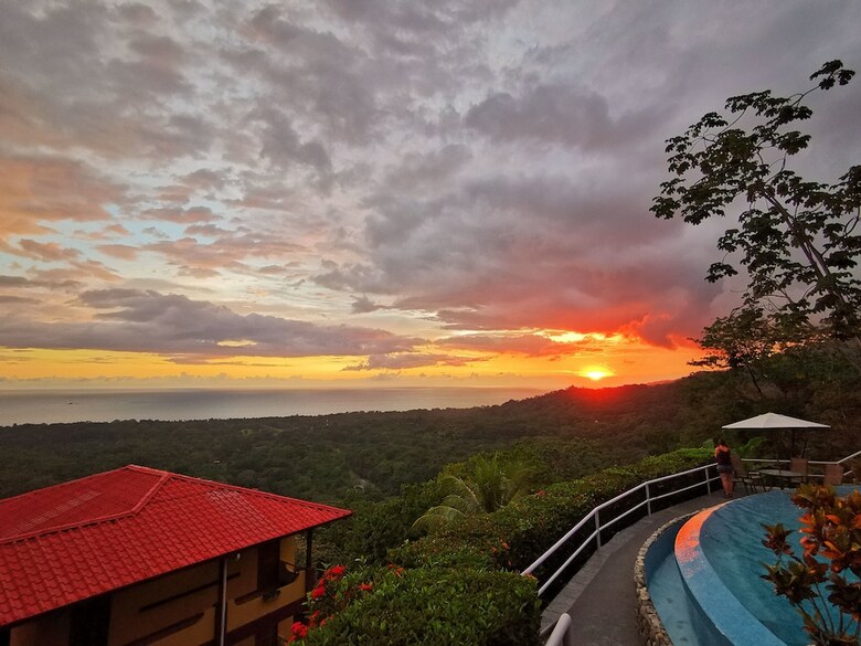Hotel Whales  And  Dolphins