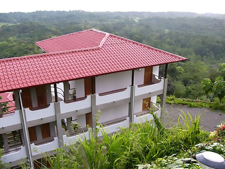 Hotel Whales  And  Dolphins