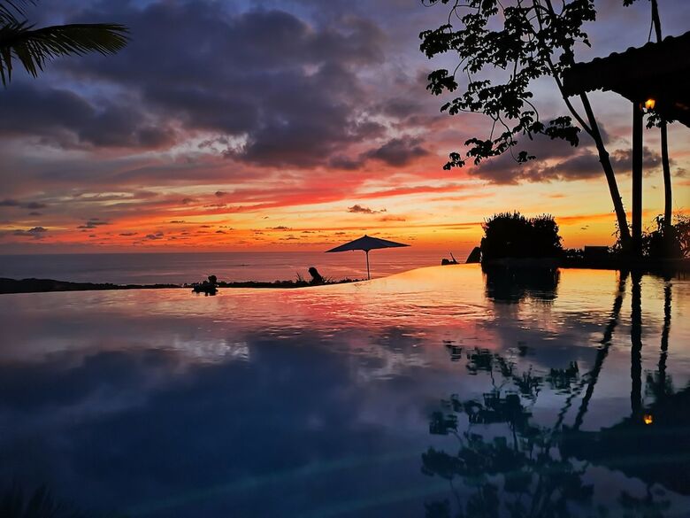 Hotel Whales  And  Dolphins