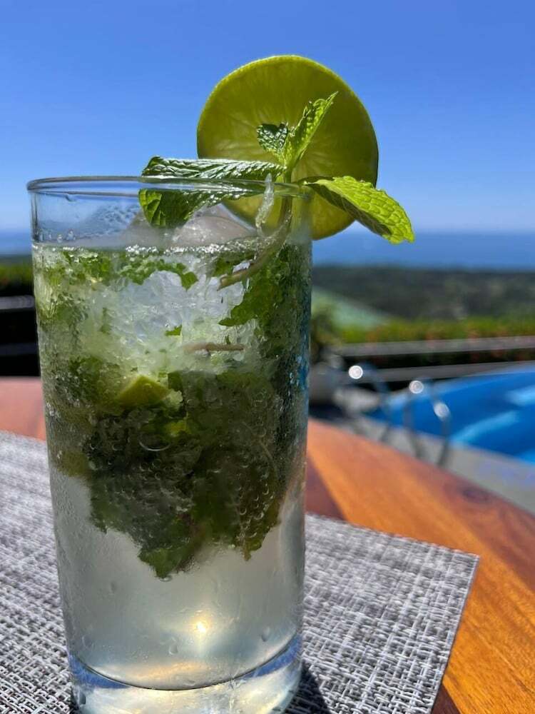 Hotel Whales  And  Dolphins