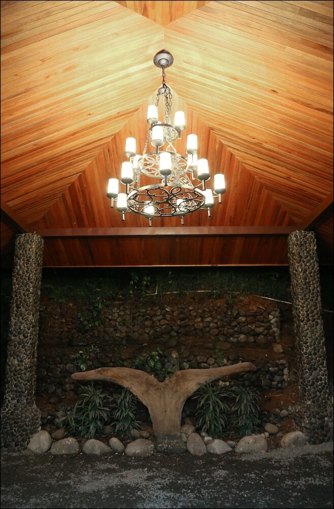 Hotel Whales  And  Dolphins