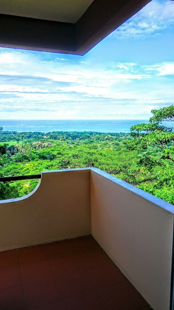 Hotel Whales  And  Dolphins