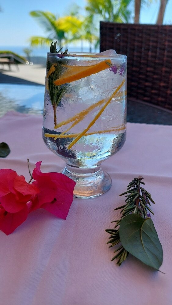 Hotel Whales  And  Dolphins