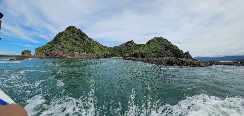Hotel Whales  And  Dolphins