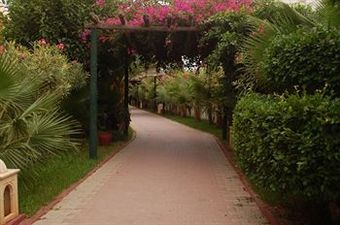Hotel Nesrine