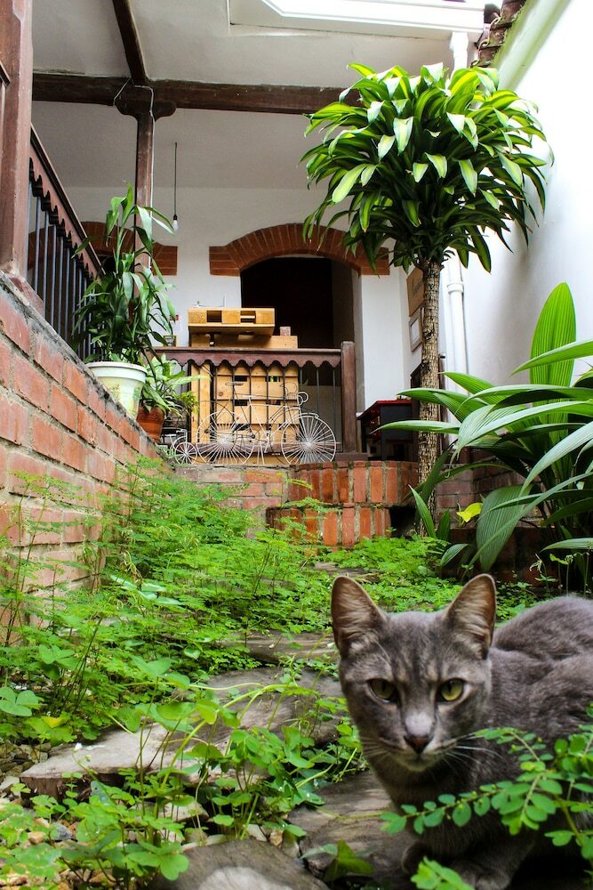 Kingbird Hostel
