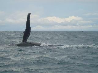 Hotel La Cusinga Lodge