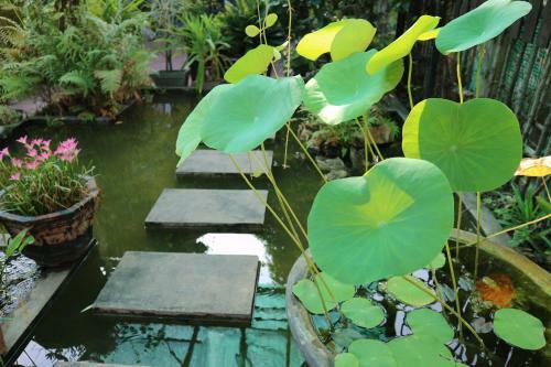 Hostal Old Khmer House 2