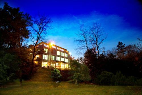 Hotel Zio Resort