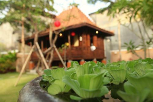 Maya Kori Villa