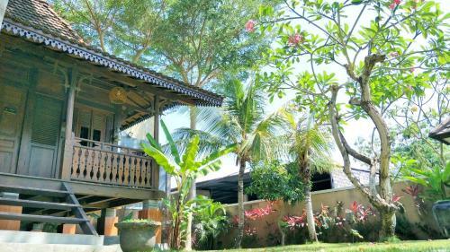 Maya Kori Villa
