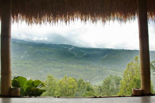 Bed & Breakfast Don Biyu