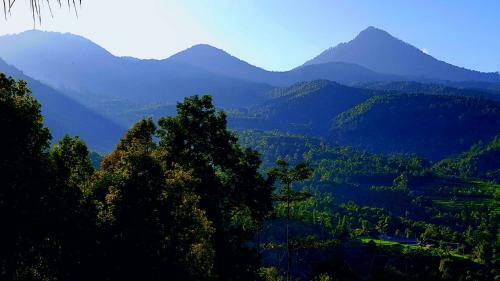 Bed & Breakfast Don Biyu