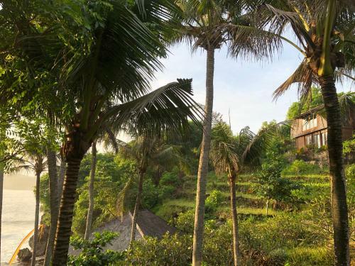 Villa Trevally