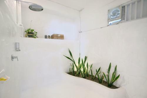 Hostal Bali Surf Villa