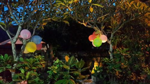 Medori Putih Homestay