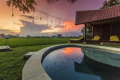 Hostal Big Brother Surf Inn