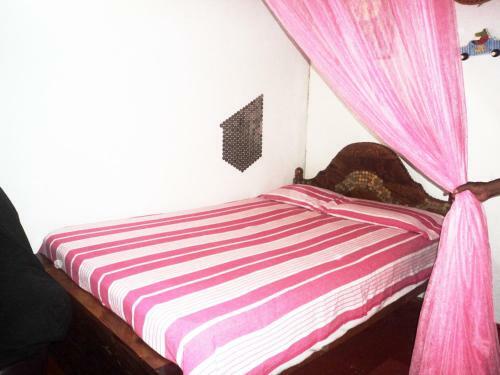 Hostal Robert Inn Dambulla