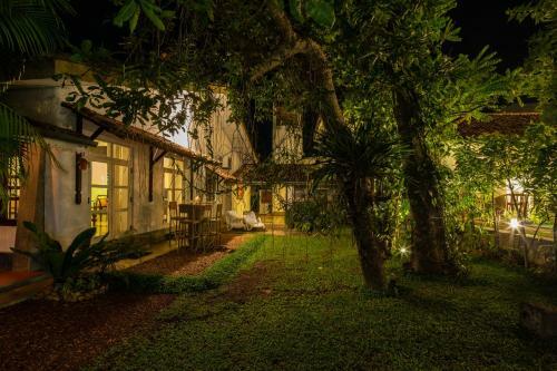 Bilin Tree House