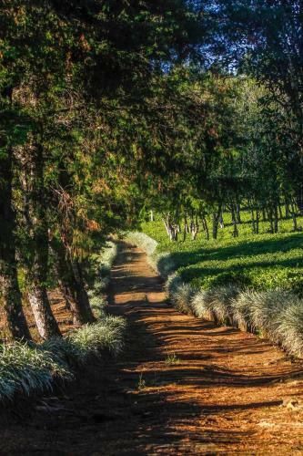 Agroturismo Hatale Mini World's End Bungalow