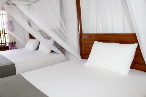 Hostal Orchid Rest