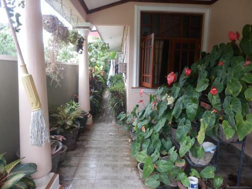 Waja Bed & Breakfast