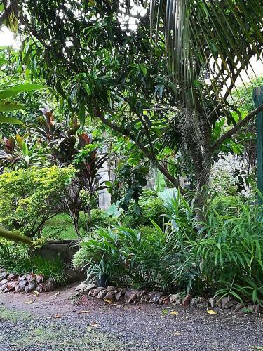 Grand Traverse Homestay