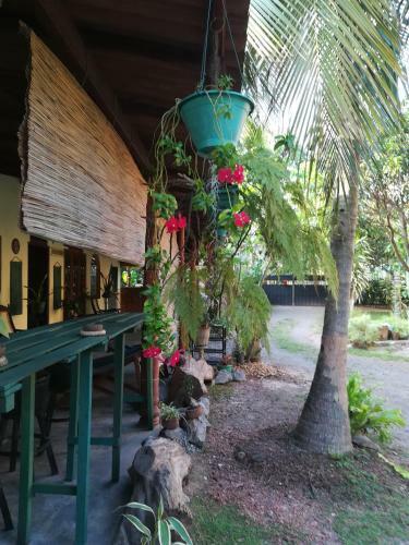 Grand Traverse Homestay