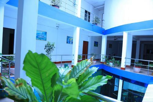 Nelly Star Hotel