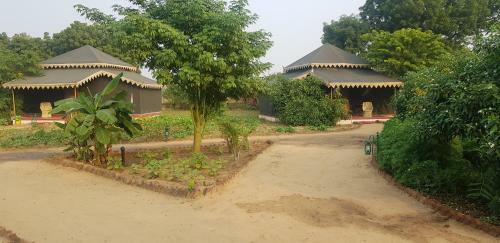 Hotel Orchard Pushkar