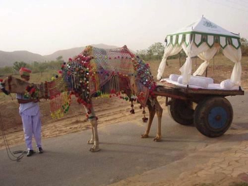 Hotel Orchard Pushkar