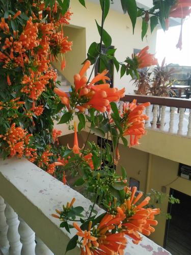 Bed & Breakfast Keshav Palace