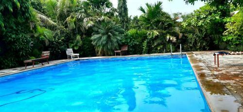 Hotel Green Park Resort